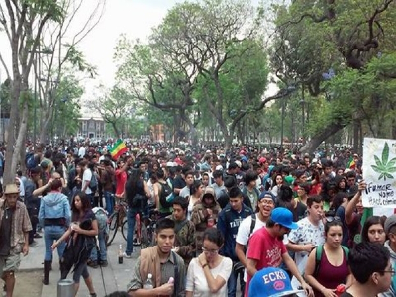 Marchan en MOnterrey en apoyo a la legalizacion de la Marihuana